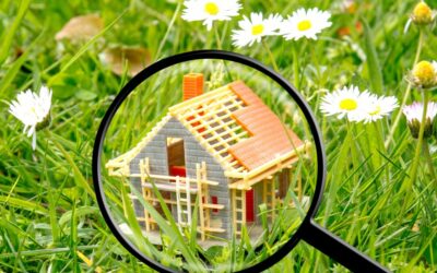 Delta House Hunting Guide: How to Find Your Dream Home