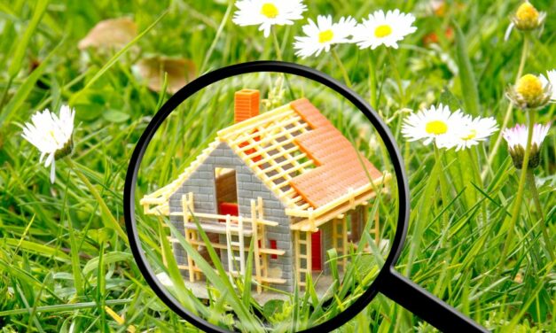 Delta House Hunting Guide: How to Find Your Dream Home